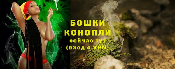 скорость Ладушкин