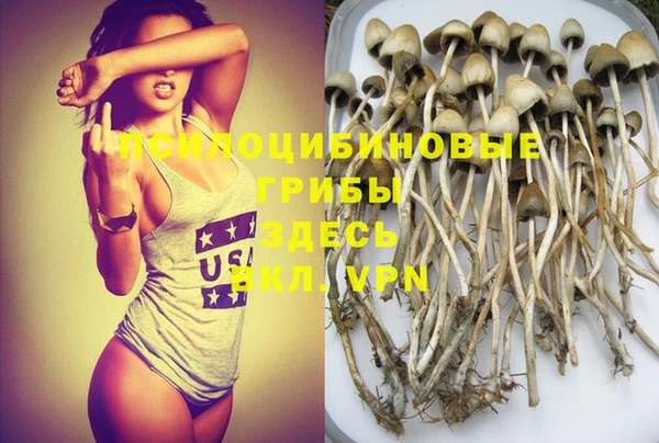 таблы Лабытнанги